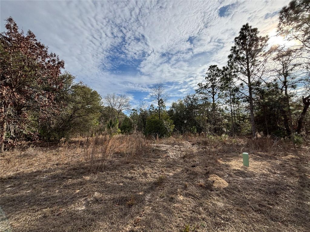 6505 N VARSITY AVENUE, Citrus Springs, FL 34434