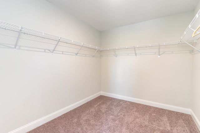 714 Plumage Ct., Myrtle Beach, SC 29588