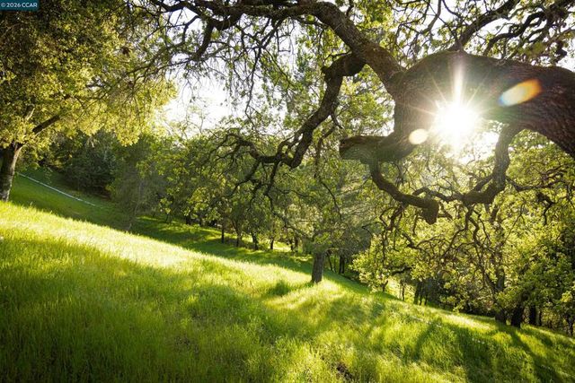 5 Wanda Ln, Orinda, CA 94563