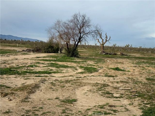14650 Manada, Phelan, CA 92371