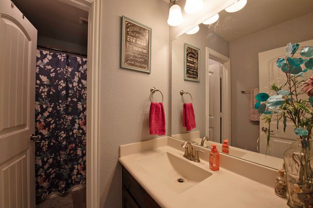 1454 Corrara Drive, Mclendon Chisholm, TX 75032