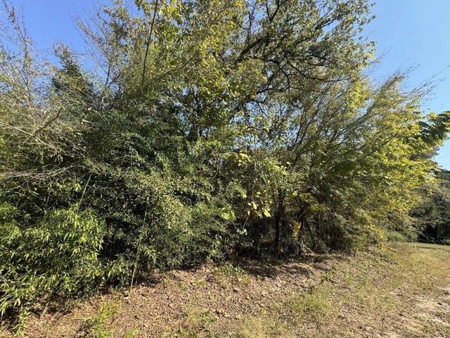 22785 Lakeway Harbor, Flint, TX 75762