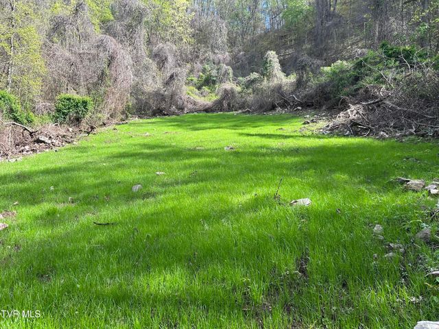 0 Christians Bend Road, Church Hill, TN 37642