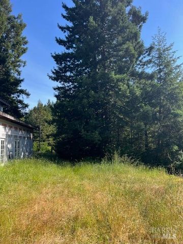 10600 North Fork Dr, Comptche, CA 95427