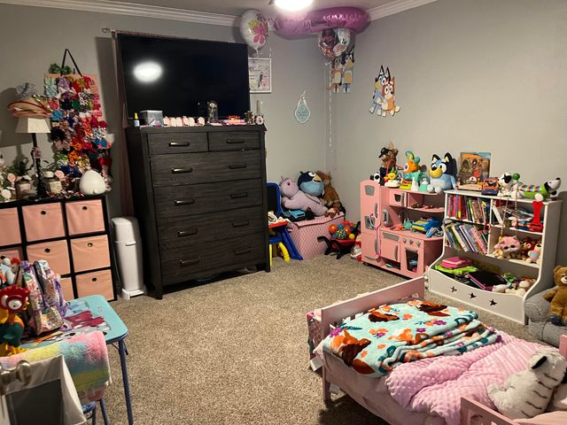 118 Hicks Place, Levelland, TX 79336