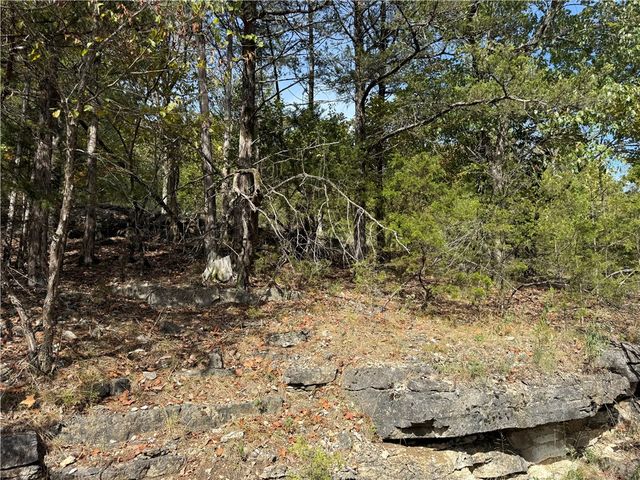 16 Oak Point Lane, Holiday Island, AR 72631