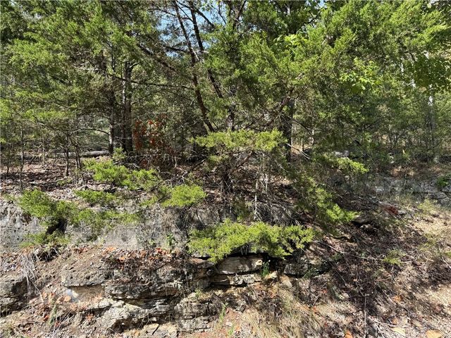 16 Oak Point Lane, Holiday Island, AR 72631