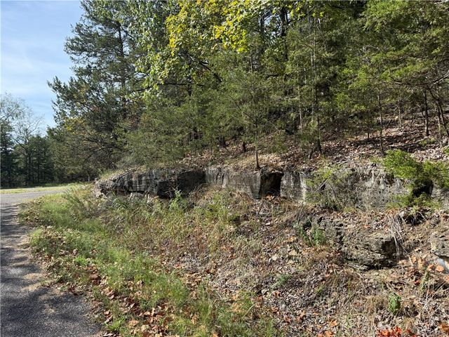 16 Oak Point Lane, Holiday Island, AR 72631