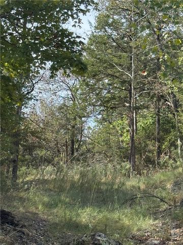 16 Oak Point Lane, Holiday Island, AR 72631