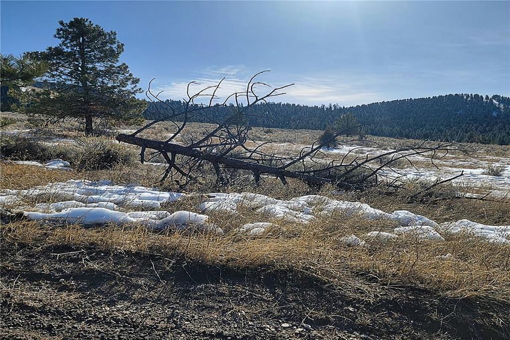 Lot A and B Sapphire Ranch Trail, Corvallis, MT 59828 photo 3