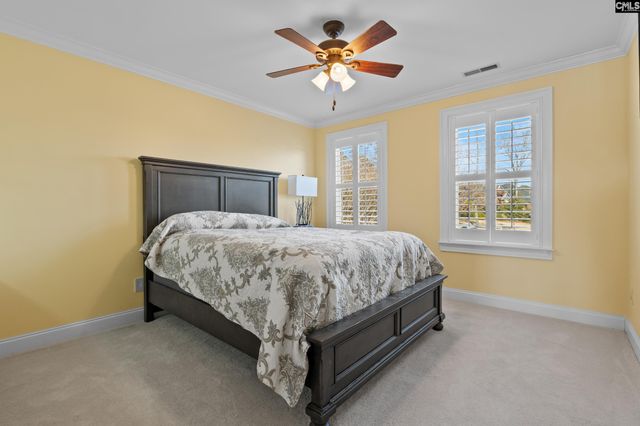 604 Wisteria Key Place, Chapin, SC 29036