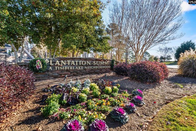 604 Wisteria Key Place, Chapin, SC 29036