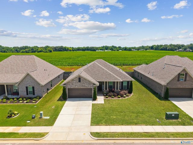 125 Amanda Deann Drive, New Market, AL 35761