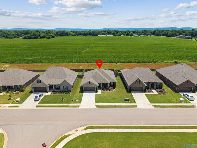 125 Amanda Deann Drive, New Market, AL 35761
