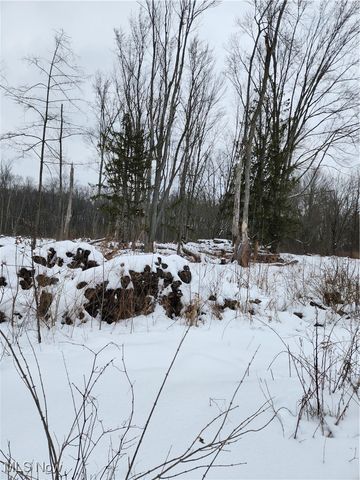 Royalton Road, Columbia Station, OH 44028