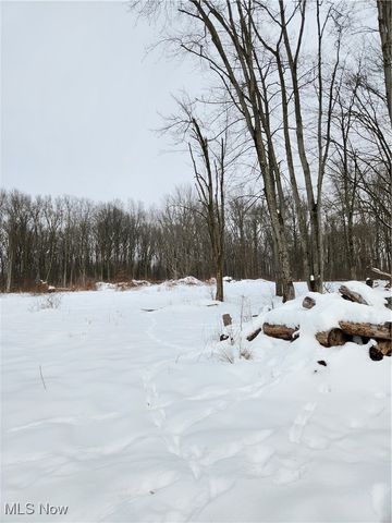 Royalton Road, Columbia Station, OH 44028