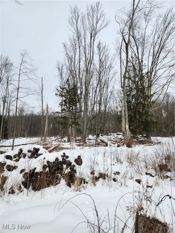 Royalton Road, Columbia Station, OH 44028