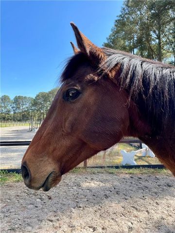 1624 N Muddy Creek Rd RD, Virginia Beach, VA 23456