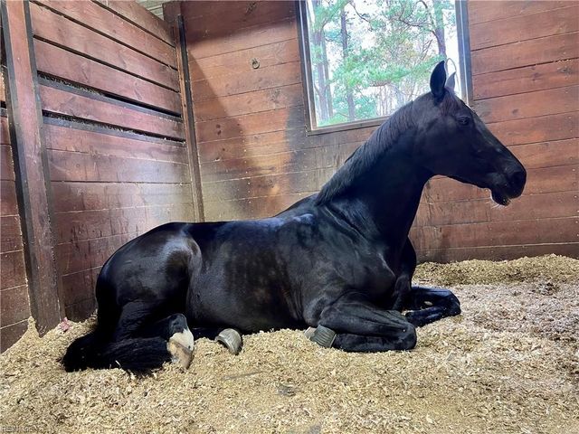 1624 N Muddy Creek Rd RD, Virginia Beach, VA 23456