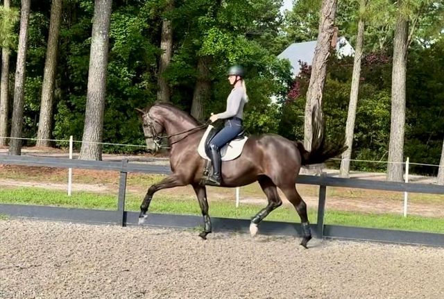 1624 N Muddy Creek RD, Virginia Beach, VA 23456