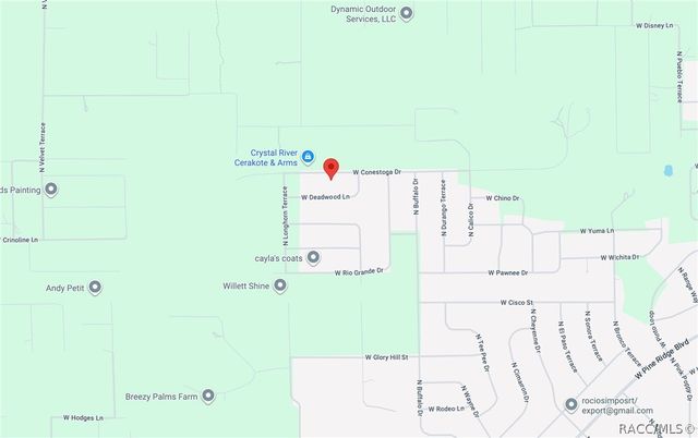 6162 W Conestoga Street, Beverly Hills, FL 34465