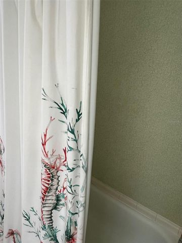 263 SAGO PALM STREET, Largo, FL 33778