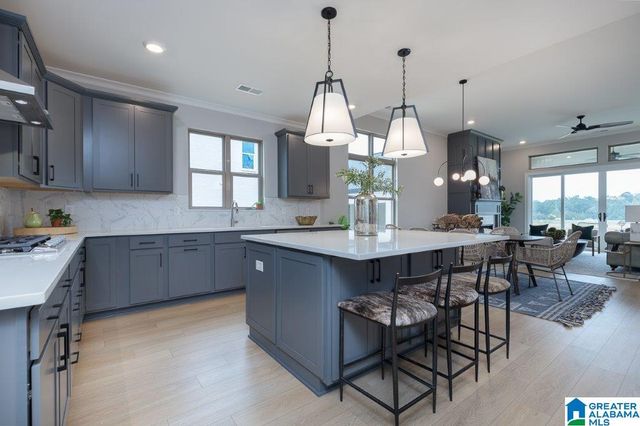 1117 CLIFTON ROAD, Hoover, AL 35244