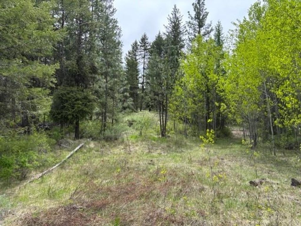 1xx Rocky Canyon Rd, Other, WA 98855 photo 11