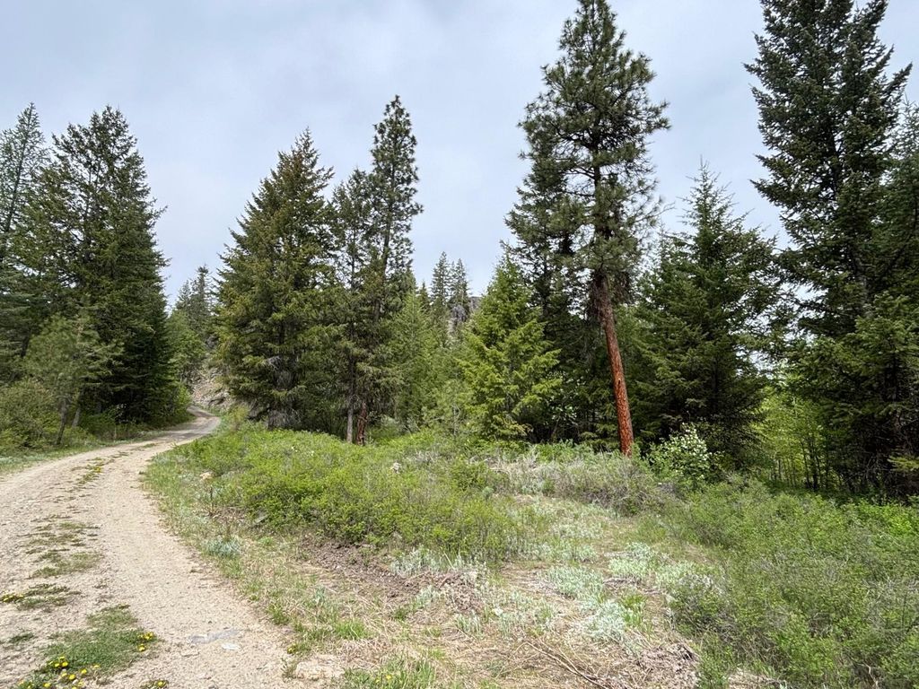 1xx Rocky Canyon Rd, Other, WA 98855 photo 14