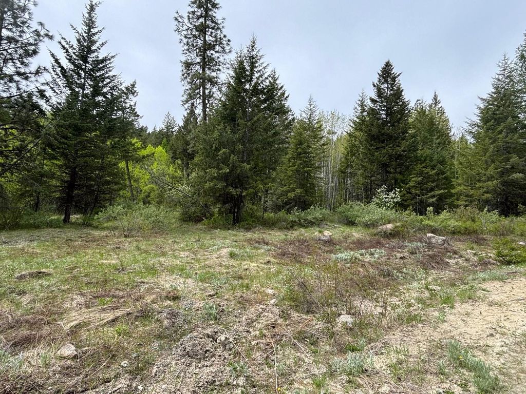 1xx Rocky Canyon Rd, Other, WA 98855 photo 15