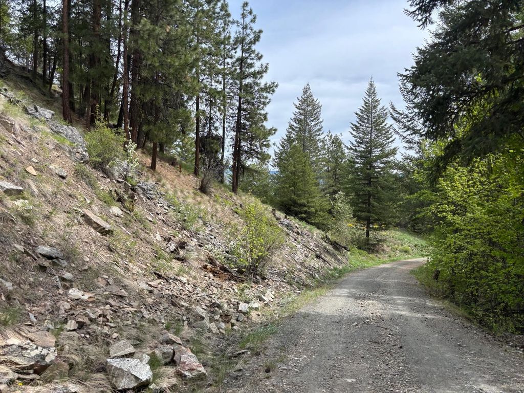 1xx Rocky Canyon Rd, Other, WA 98855 photo 16