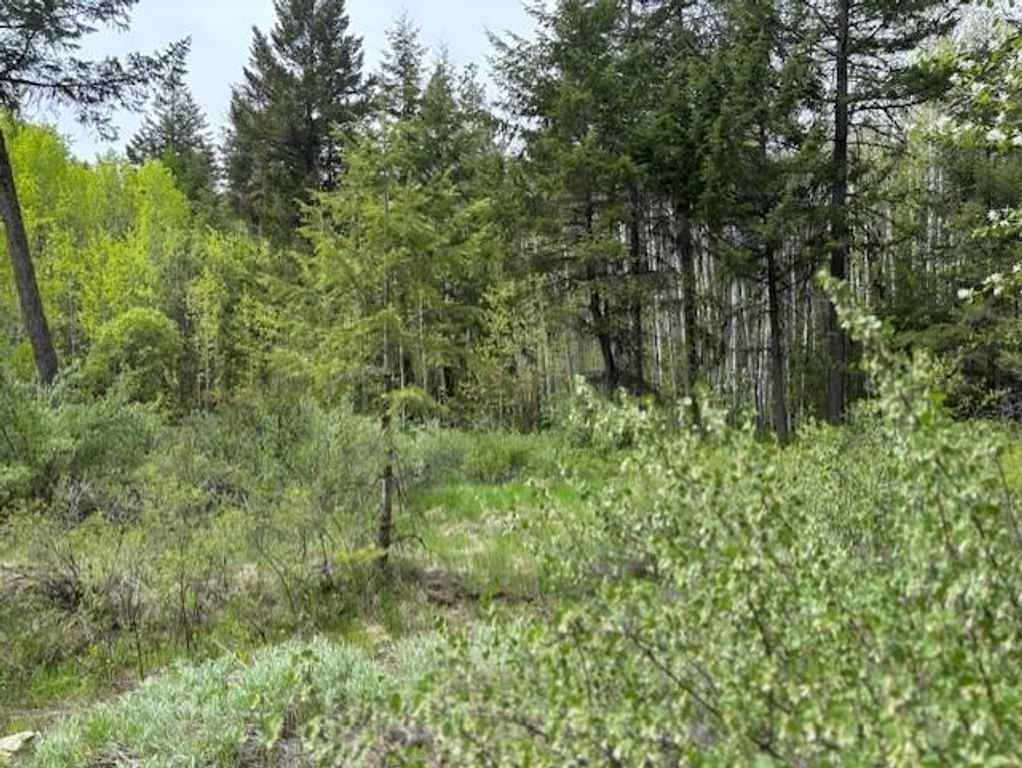 1xx Rocky Canyon Rd, Other, WA 98855 photo 17