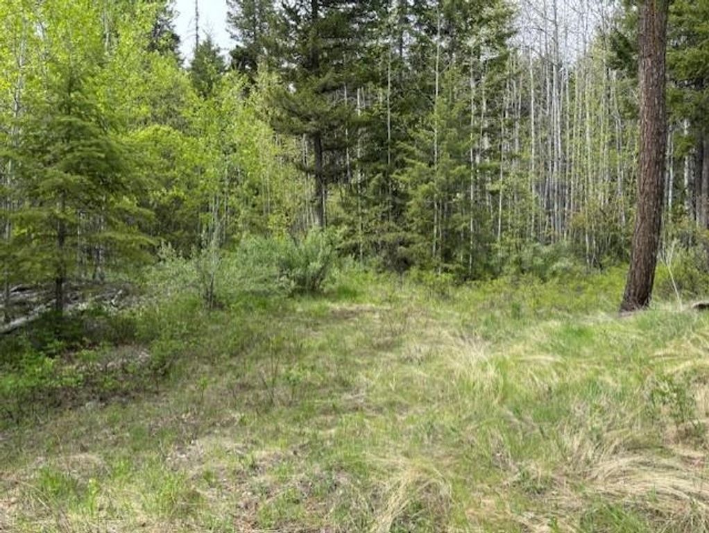 1xx Rocky Canyon Rd, Other, WA 98855 photo 19