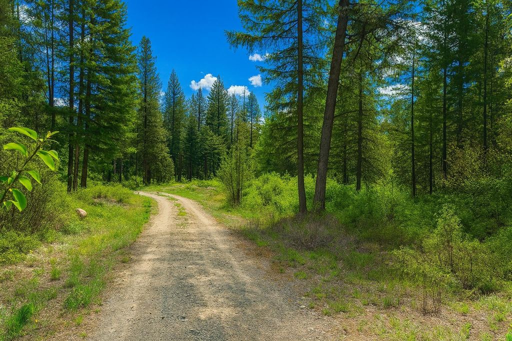 1xx Rocky Canyon Rd, Other, WA 98855 photo 3