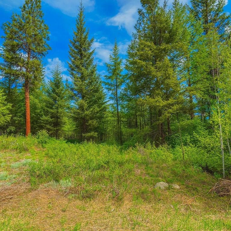 1xx Rocky Canyon Rd, Other, WA 98855 photo 7