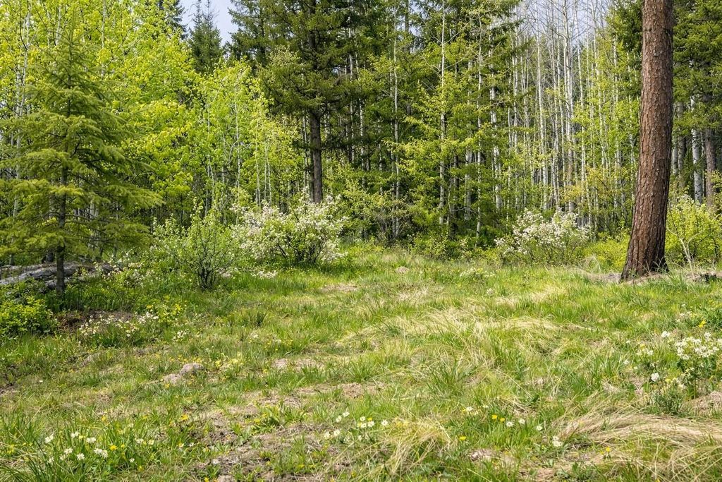 1xx Rocky Canyon Rd, Other, WA 98855 photo 10