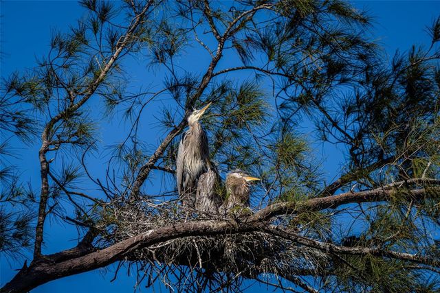 4726 POTOMAC CIRCLE, Bradenton, FL 34210