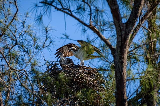 4726 POTOMAC CIRCLE, Bradenton, FL 34210