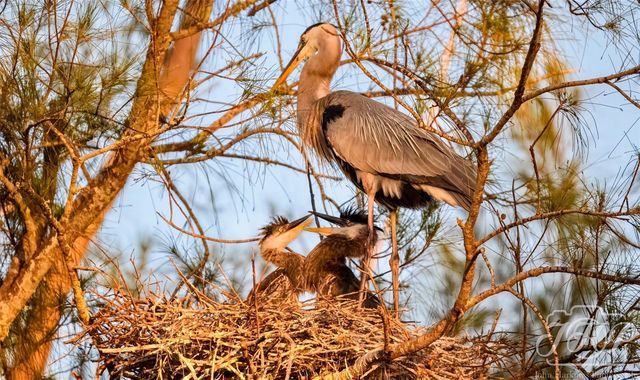 4726 POTOMAC CIRCLE, Bradenton, FL 34210