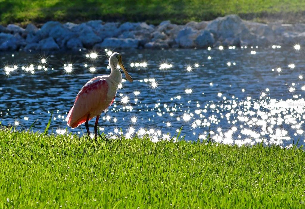 Image 5 of property listing at 4726 POTOMAC CIRCLE, Bradenton, FL 34210
