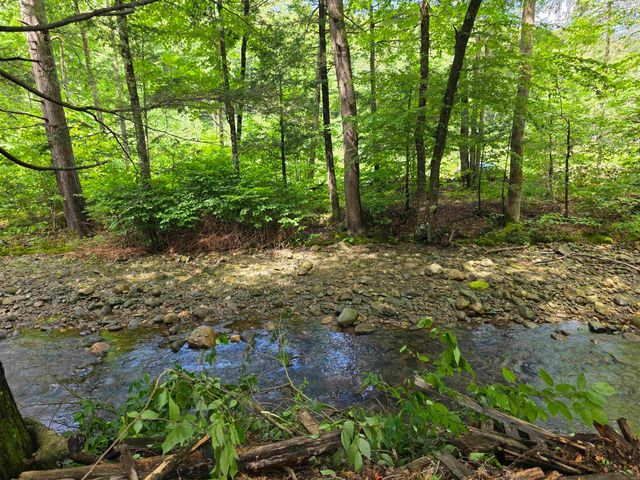 373 Vermont Route 30, Newfane, VT 05345