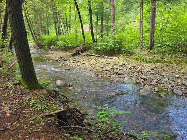373 Vermont Route 30, Newfane, VT 05345
