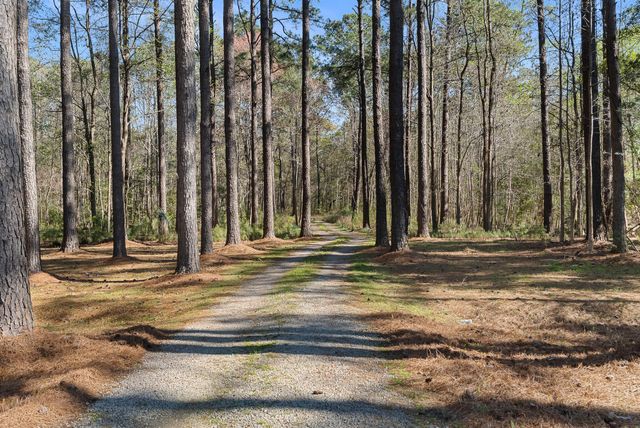 6042 Pawlett Blake Lane, Wadmalaw Island, SC 29487