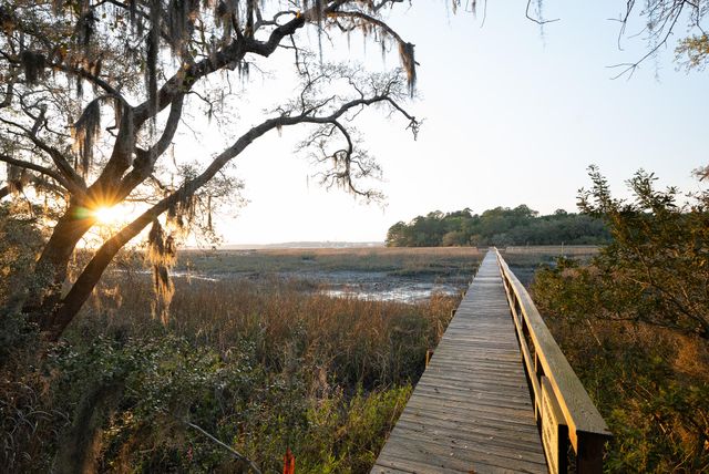 6042 Pawlett Blake Lane, Wadmalaw Island, SC 29487