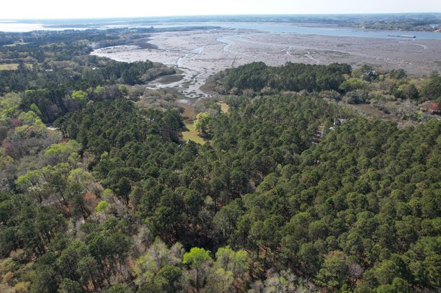 6042 Pawlett Blake Lane, Wadmalaw Island, SC 29487