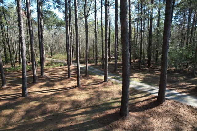 6042 Pawlett Blake Lane, Wadmalaw Island, SC 29487