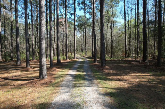 6042 Pawlett Blake Lane, Wadmalaw Island, SC 29487