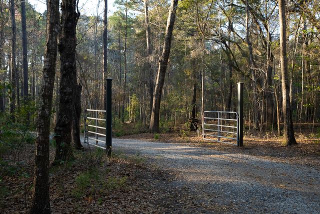 6042 Pawlett Blake Lane, Wadmalaw Island, SC 29487