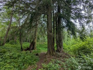 21916 123rd Avenue NE, Arlington, WA 98223