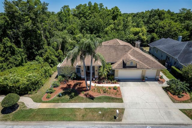 22754 MAGNOLIA TRACE BOULEVARD, Lutz, FL 33549
